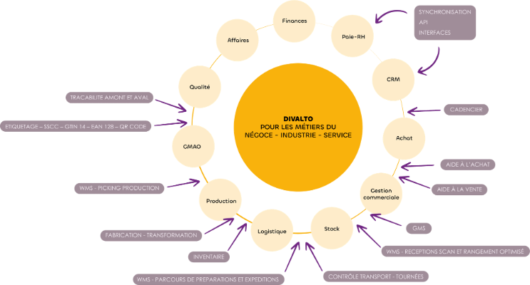 intégrer wms à Divalto